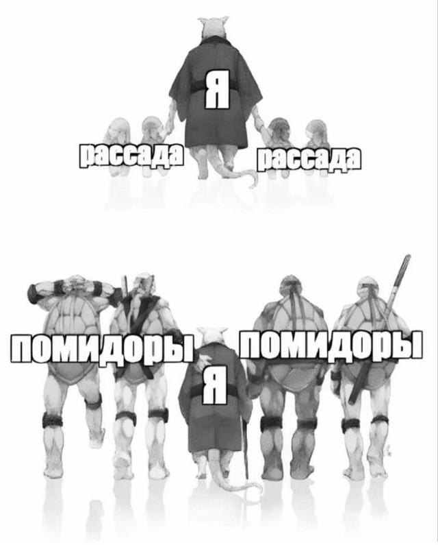 Пятничные картинки