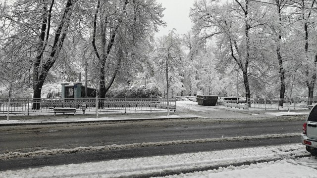 Лето окончательно наступило.