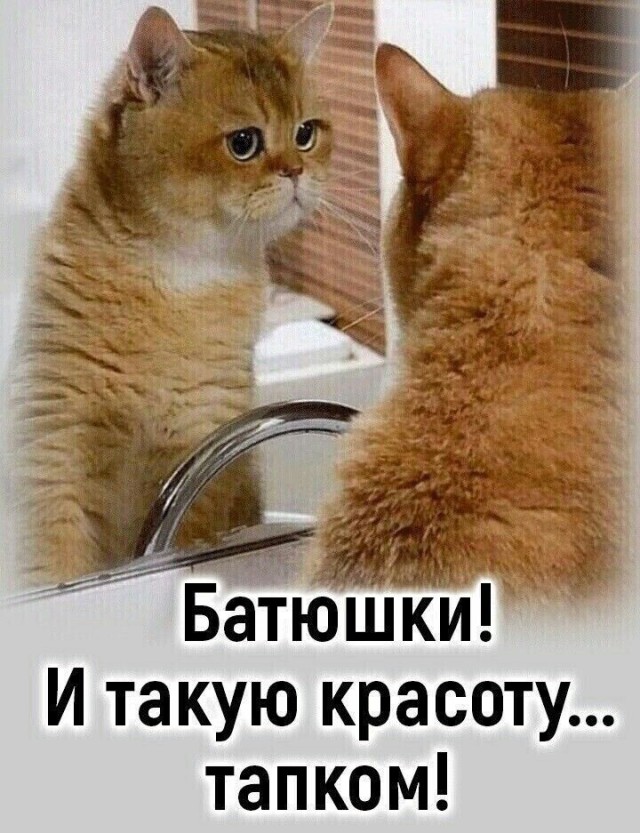 Так себе картинки 14.08.26