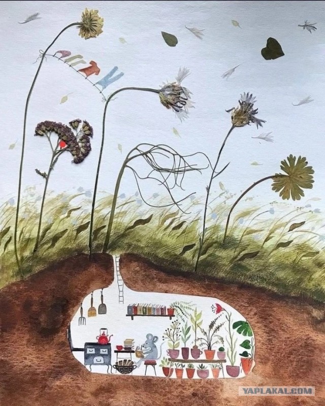 Отвлекёмся. Мыши.