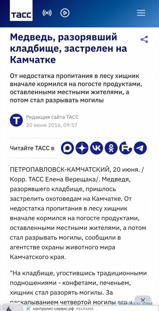 Кладбищенский хоррор из Магадана: медведь раскопал могилу и съел труп женщины