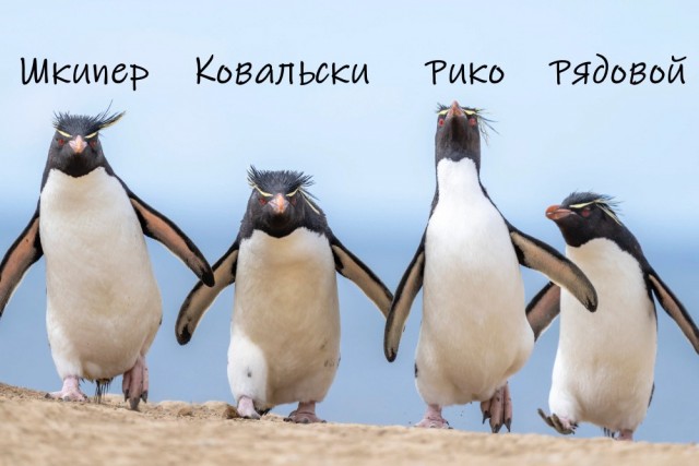 Картинки для деградации 303 (разной степени свежести)