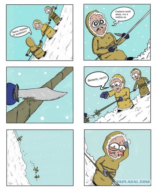 Степень доверия зашкаливает