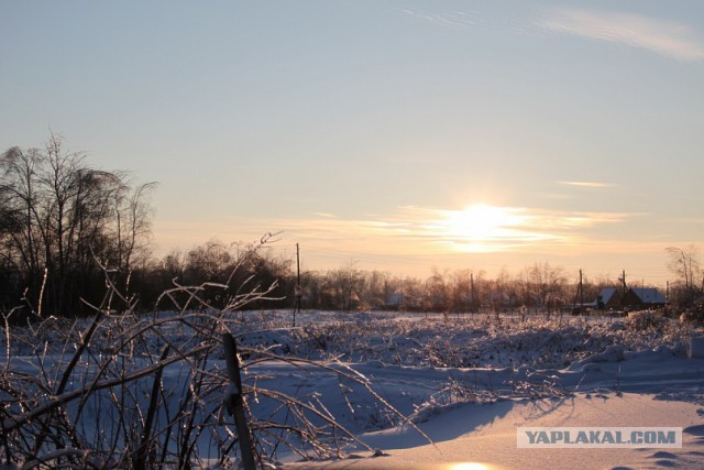 Красота природы не зависит от....