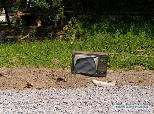 нелаваз тнозирог