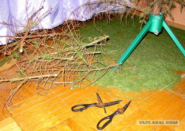 Утилизация новогодней ёлки!