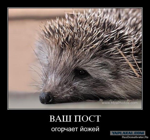 Странное знакомство с девушкой