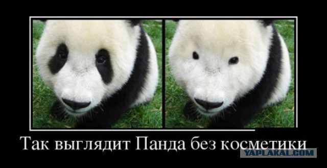 Смешные картинки, добавляйте свои!