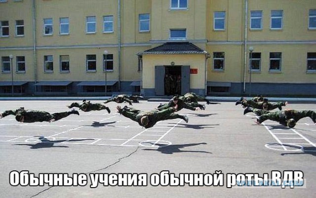 Прикольняхи