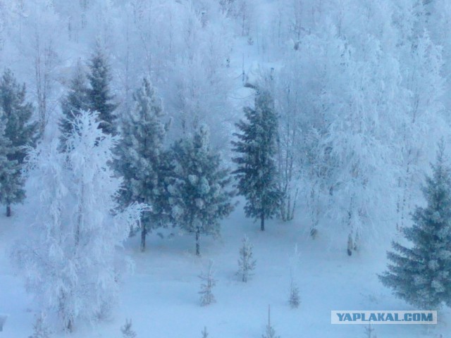 А вы слышали про город НАДЫМ?