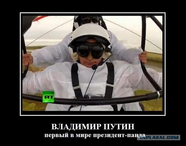 Путин с клювом в халате возглавил журавлиный клин