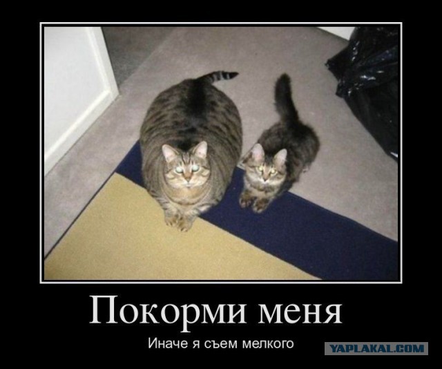 Картинки с надписями