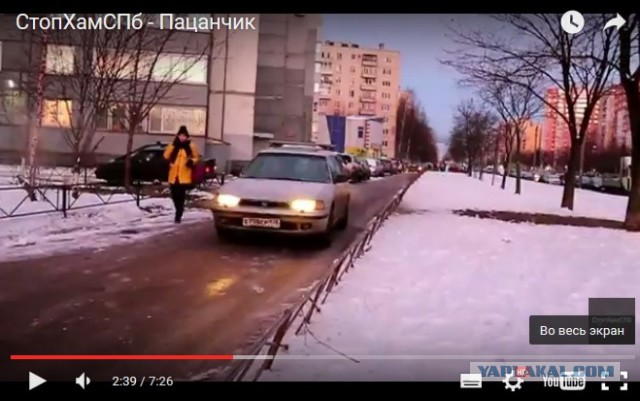 СтопХамСПб - Пацанчик