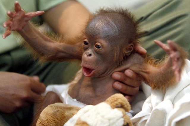 И тут он попер на меня!