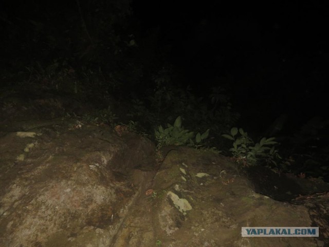 Исчезновение и трагическая гибель Лисанн Фрон и Крис Кремерс