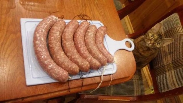Подборка самых смищных картинков из интернетов