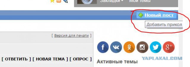 Бородатые спустили девушку со ступенек