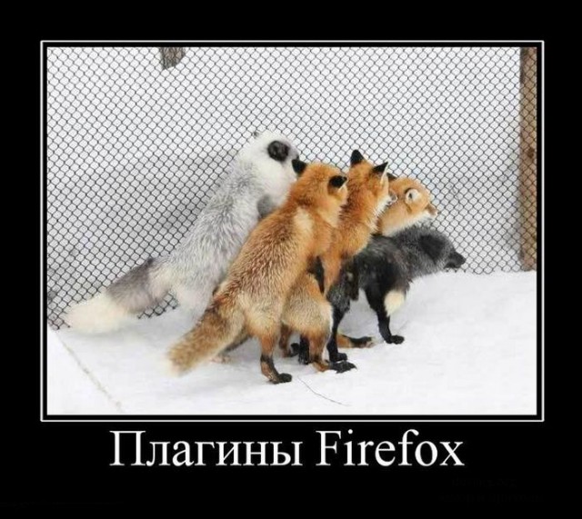Глючит Firefox - только у меня?