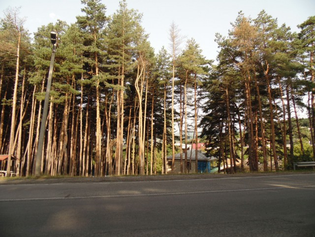 "Небольшой" фотоотчет по недавнему путешествию в Грузию.