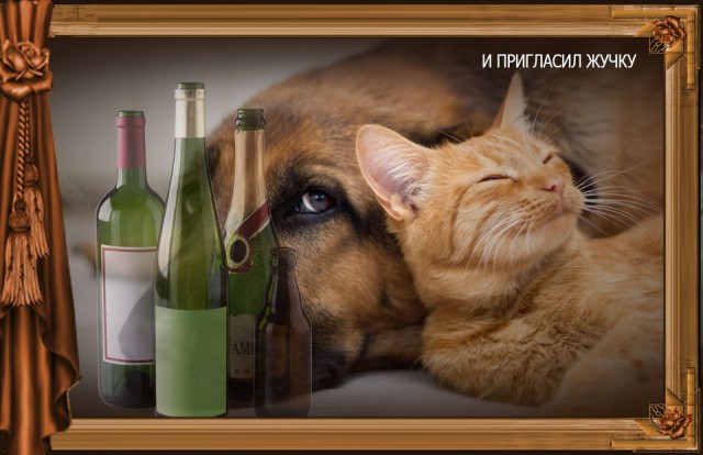 Сказка Репка диафильм (к котовторнику)