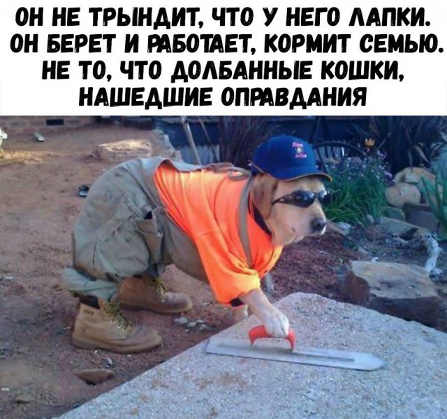 Странный юмор