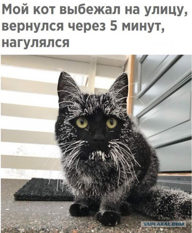 Удивительные снимки с российских просторов