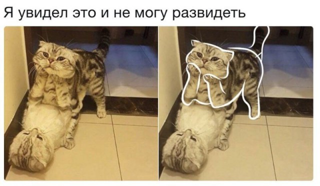 Прикольные картинки обо всем