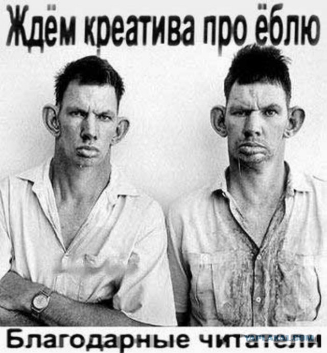 Нестандартный юмор