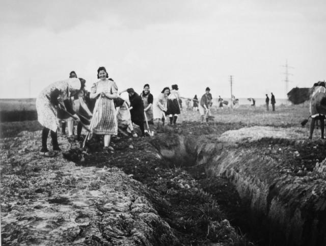 История в фотографиях