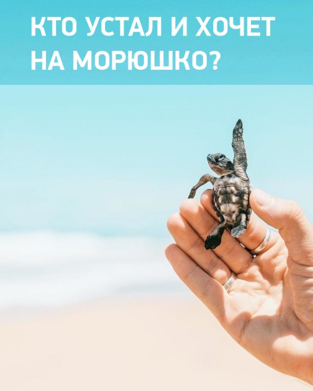 Подборка интересных и веселых картинок 27.09.18