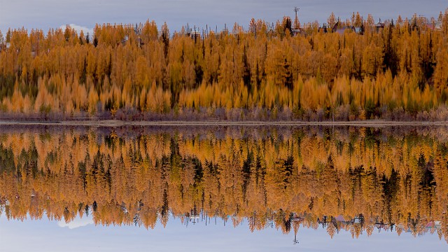 Осенняя тайга