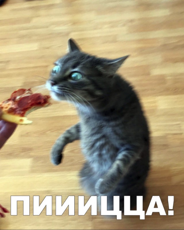 Немного милоты