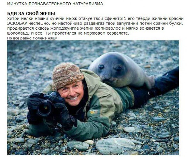Тюленчик решил что самка человека замерзает