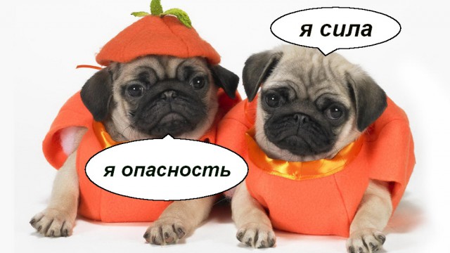 9 правил, как надолго сохранить любовь мужчины
