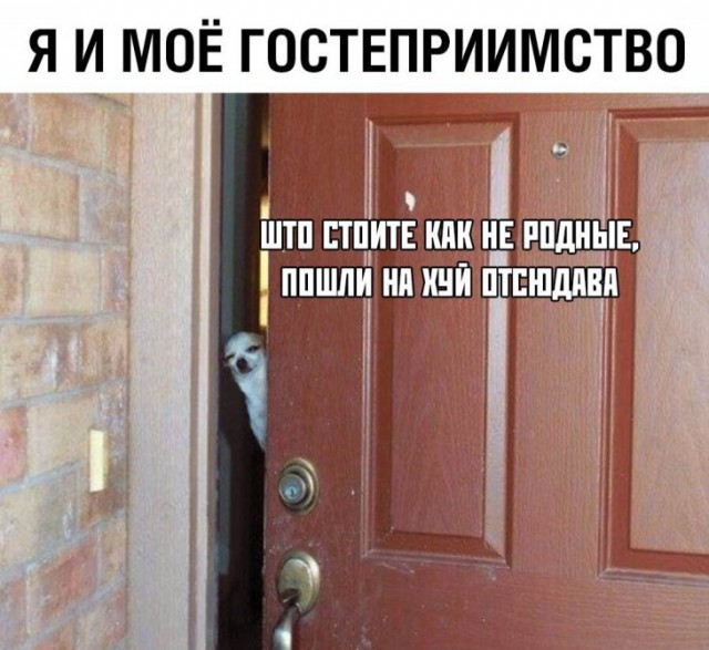 Немного картинок для настроения
