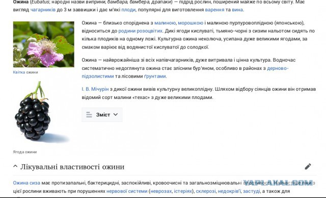 Маразм властей ЛНР