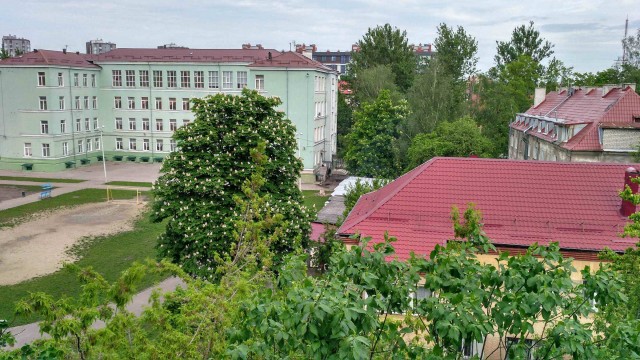 Калининград зимой!