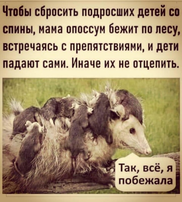 Бредзона 19.03.2020