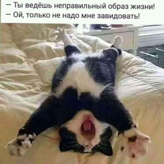 Пост картинок в понедельник 25.05. Всяких разных обо всём