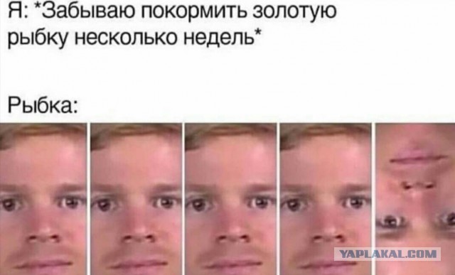Картинки разнообразные. На злобу дня и на доброту (12.11)
