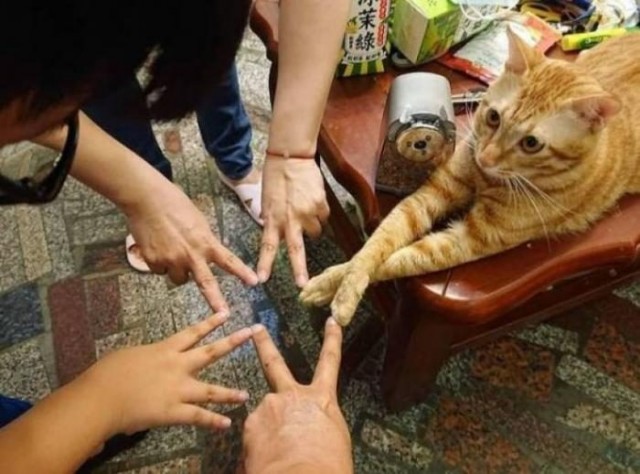 Картинки к пьятнице