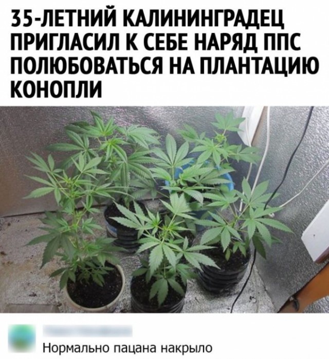 Картинки и мемы для настроения 008