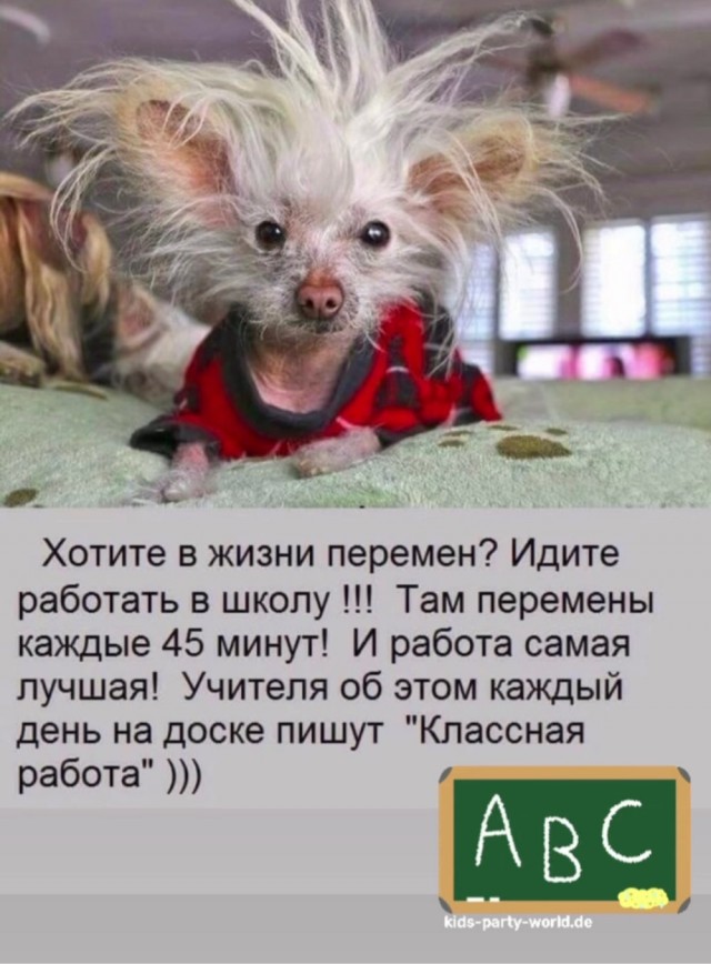 «Что меня бесит»: учитель — о том, как скандалят родители и из-за чего школу называют дурдомом на выезде