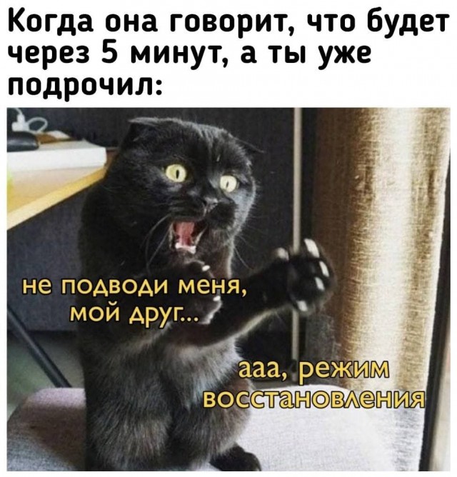 Пятница. И немного слегка пошлых картинок с надписями и без 16+ (20.08))