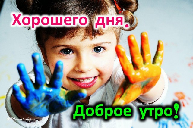 Женщине не знакомы такие слова как «мораль» и «совесть»