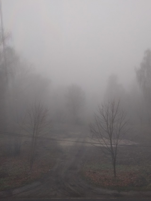Туман в Москве