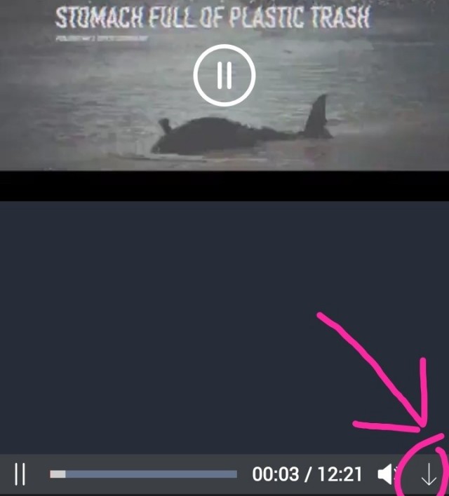 Как сохранить - скачать видео с ЯПа ?