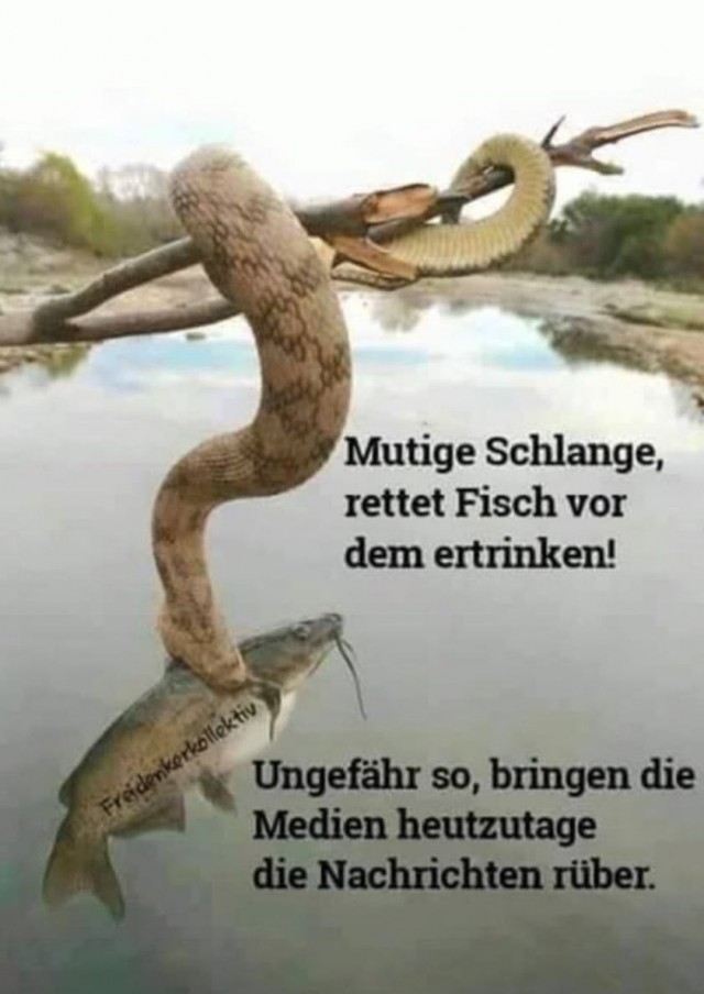 Так себе коронавирусные и не только картинки из Германии, часть 2