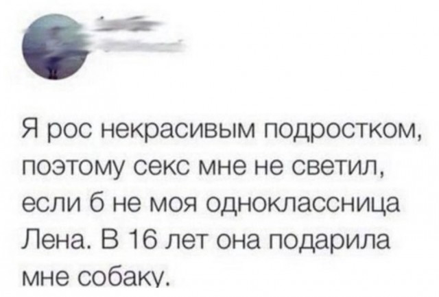 Забавные и веселые картинки