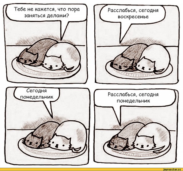 Пятница. Вечер. Картинки всякие... #4